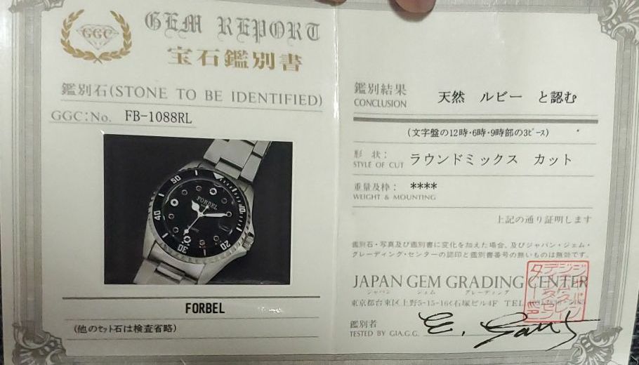 Forbel Analog Quartz Men