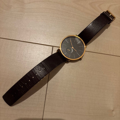 Skagen SKW628 Analog Quartz Men