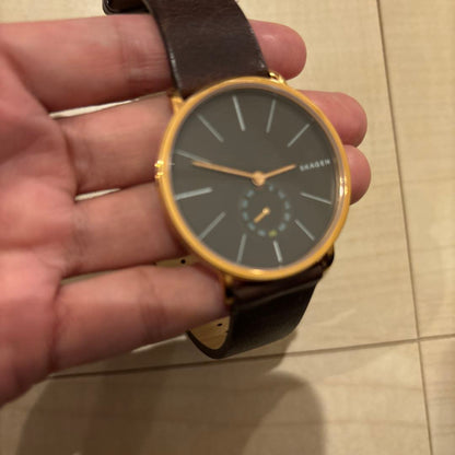 Skagen SKW628 Analog Quartz Men