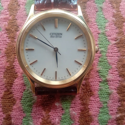 Citizen Eco-Drive 4800 Analog Quartz Women